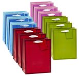TSI Geschenktüten TREND MIT RAHMEN blau, rosa, rot, grün 18,0 x 23,0 cm, 12 St.