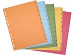 Trennblätter DIN A4 0-9 farbsortiert, 250 g/qm, 100 Blatt