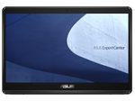 ASUS ExpertCenter E1 AiO E1600WKAT-BMR106X Intel® Celeron® N4500 All-in-One PC 39,6 cm (15,6")