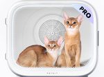 PETKIT AIRSALON MAX PRO Smart Haustiertrockner