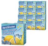 DURSTLÖSCHER Eistee Zitrone Fruchtsaftgetränk