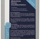 RUSSKA VENTISEPT PUR Desinfektionsmittel 500,0 ml