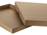 FALKEN PURE Aufbewahrungsbox 500 Blatt braun 32,0 x 44,0 x 4,0 cm, 1 St.