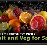 Philips 32BDL5050D Digital Signage Display 80 cm 32 Zoll