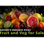 Philips 98BDL5050D Digital Signage Display 247 cm 98 Zoll