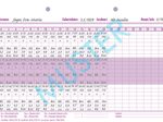 BOI Formular BZ-Profile