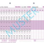 BOI Formular BZ-Profile