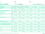 BOI Formular Bestimmung des Sturzrisikos