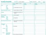 BOI Formular Sturzanalyse/-protokoll