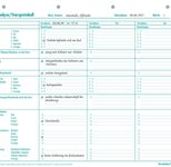 BOI Formular Sturzanalyse/-protokoll