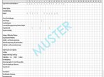 BOI Formular Soziale Aktivitäten und Alltagsgestaltung