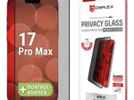 DISPLEX Privacy Panzerglas (10H) für Apple iPhone 17 Pro Max