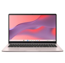 Cream Pink