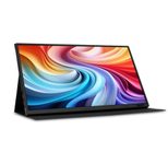 Acer PM161QT Full HD Display 39,6 cm (15.6')