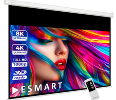 eSmart Professional MIMOTO Motor Leinwand 233,6 cm 92 Zoll