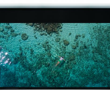 WS GR EcoLine-Motor 16:9, 266x149 cm, mattweiß BE/BL inkl. IR