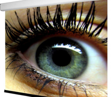 WS S NewMot Aufpro 16:10 340x213 cm, HomeVision BE/BL 1.0 Gain